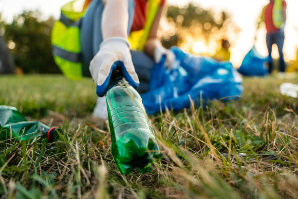 Yard Cleanup Services in King City, CA